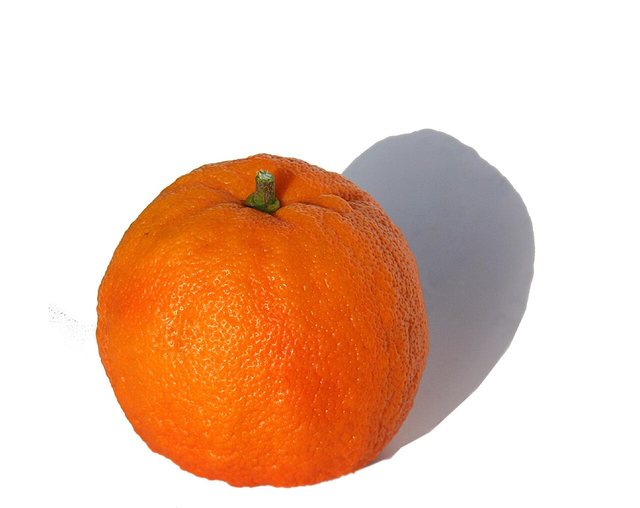 だいだい