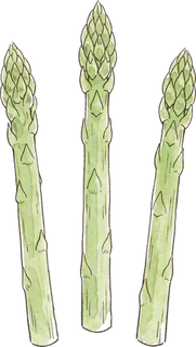 アスパラガス