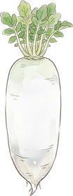 だいこん
