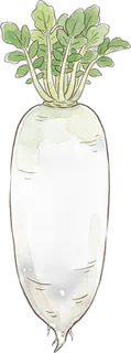だいこん