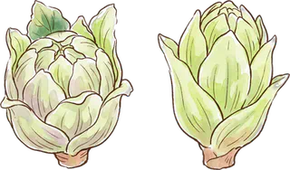 ふきのとう