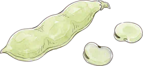 そらまめ