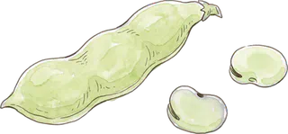 そらまめ